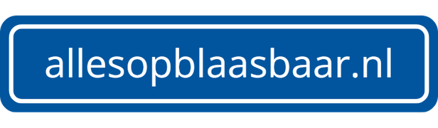 allesopblaasbaar.nl voor al uw opblaasbare feestfiguren.